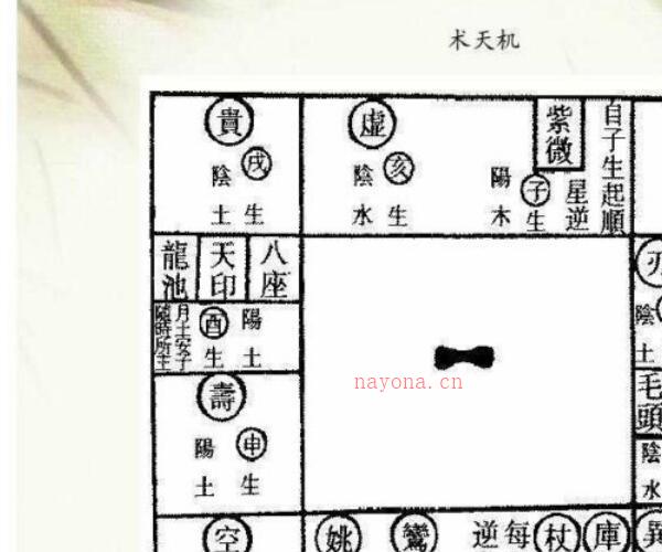 《道藏紫微斗数》 -神秘学领域最全