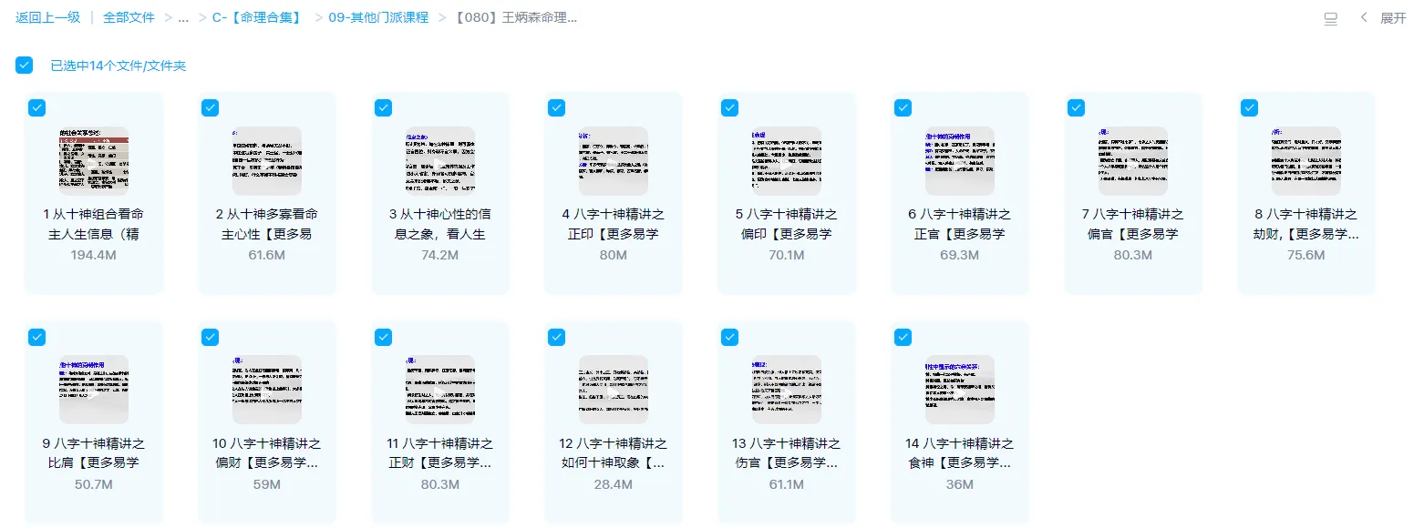 图片[1]_王炳森《命理学高级课十神精讲》（视频14集）_易经玄学资料网