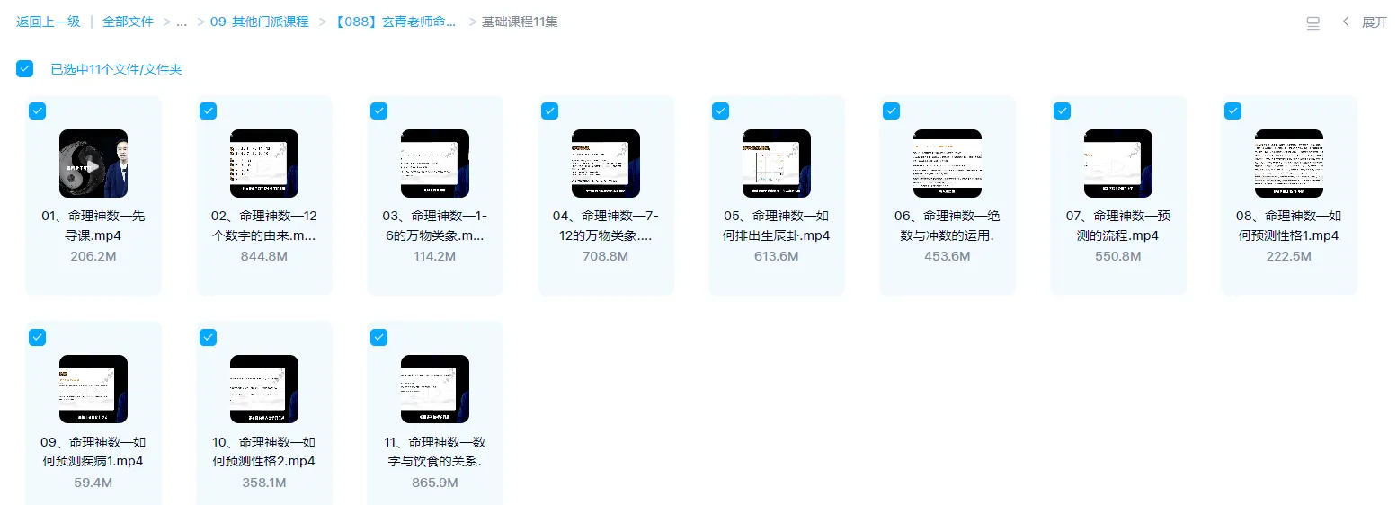 图片[2]_玄青老师命理神数（初级+高级）视频42集_易经玄学资料网