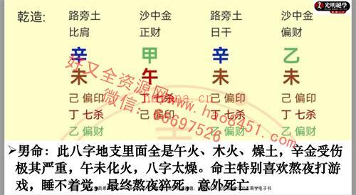 A1266夏光明弟子德兰德兰-阴阳、五行、天干、地支、九大关系PDF电子书63页