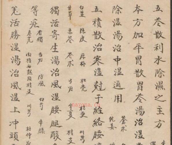 抄录诸病药方.pdf百度网盘资源下载！古籍网 古籍书阁，国学资源网 -神秘学领域最全
