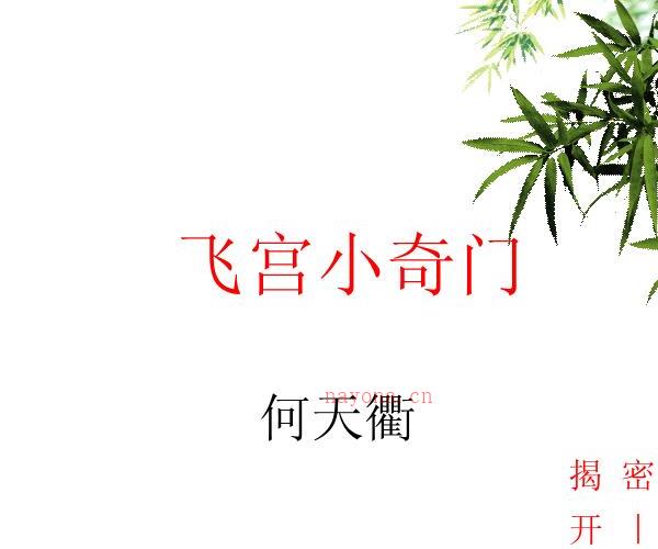 飞宫小奇门-探索录〔何天衢〕.pdf百度网盘资源下载！古籍网 古籍书阁，国学资源网，易善医书 -神秘学领域最全