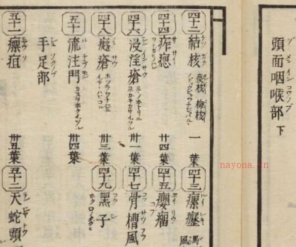 删补锦囊外疗秘録 -神秘学领域最全