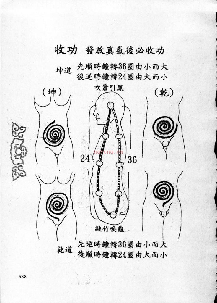 涂金盛天医宝典点穴神功600多页电子版 高端法本