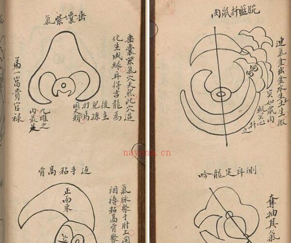 家宝金丹.清.高寿山撰.清抄本.pdf 313页 -神秘学领域最全