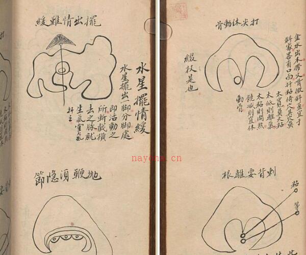 家宝金丹.清.高寿山撰.清抄本.pdf 313页 -神秘学领域最全