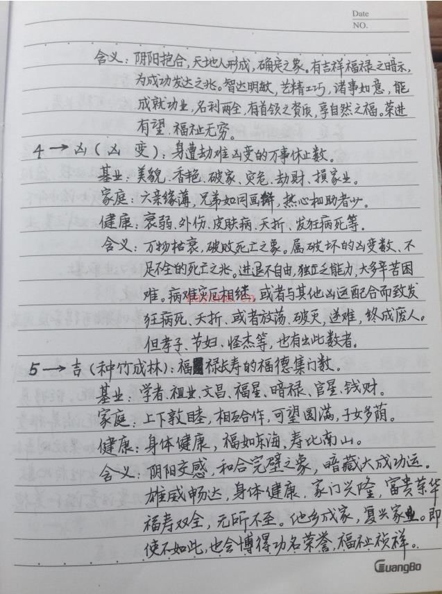 师传风水布局八字择日寻龙点穴化解催吉等138页手写电子版综合笔记 高端法本