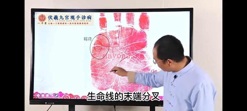 仇文杰 伏羲九宫观手七十二诊 99集视频