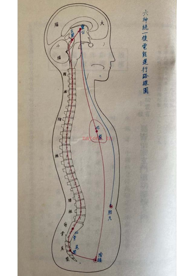 昆仑仙宗《玄门道功修炼入门》139页电子版 高端法本