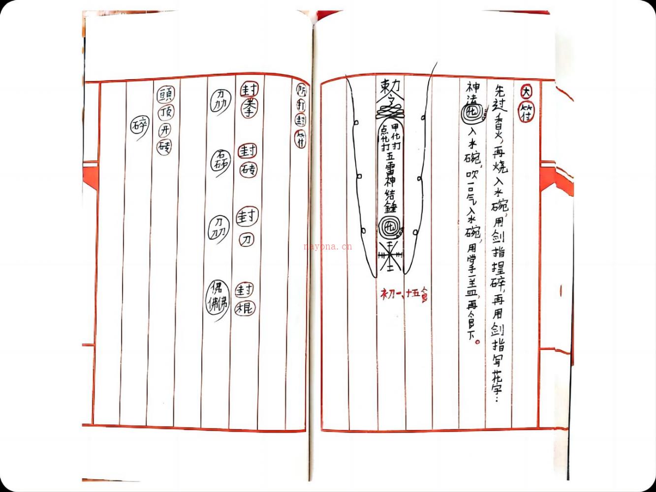 广东传杨家华光法37页电子版 高端法本