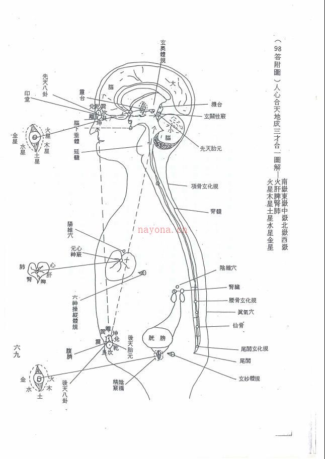 昆仑仙宗道功修炼秘笈91页电子版稀有法本