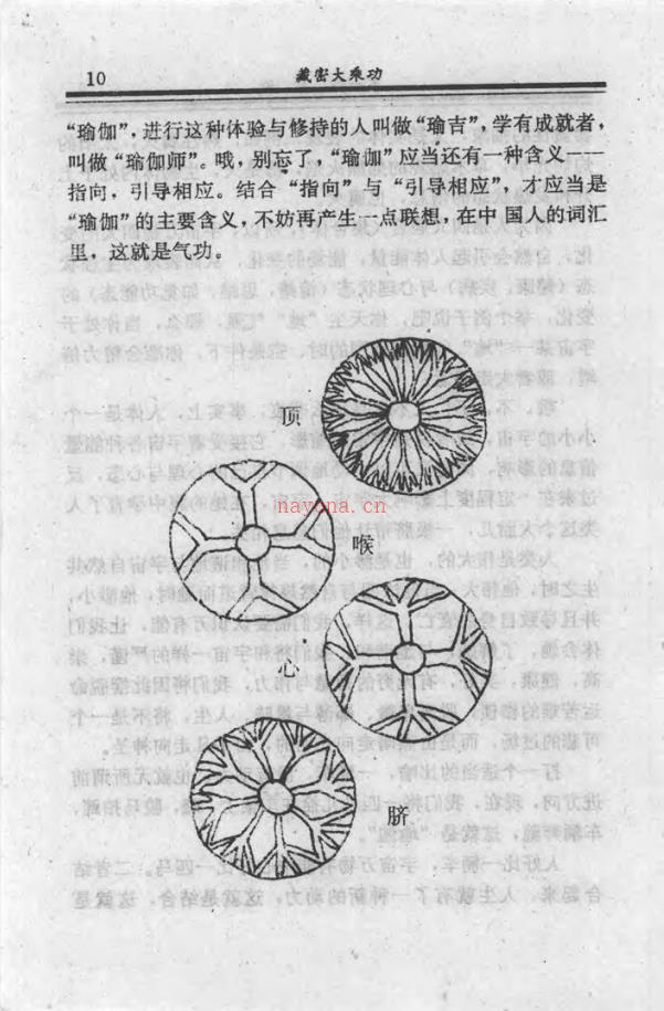 《藏密大乘功》 首次全面系统披露大乘功法 张健平 455页电子版稀有法本