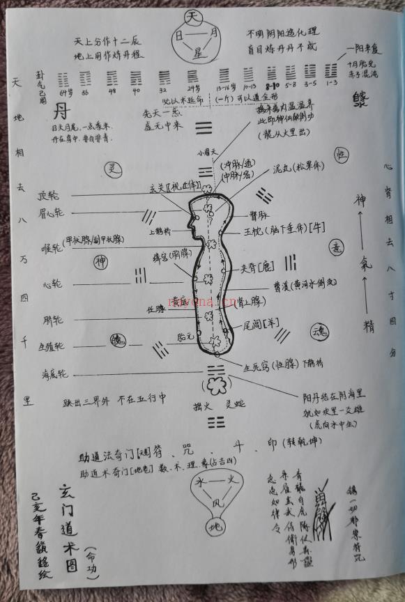 玄机九法之《聚气结丹法采药炼丹篇》75页电子版 高端法本