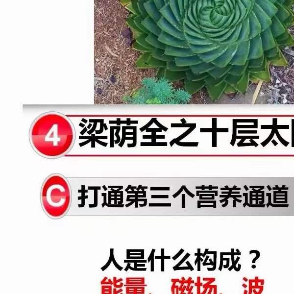 黄庭内景十层太阳桩 私教课1集