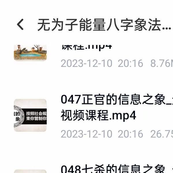 无为子能量八字象法篇80集 八字命理人生运程