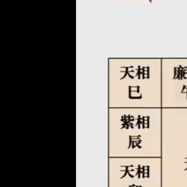 2023玄门有鲤 紫微初级系统班