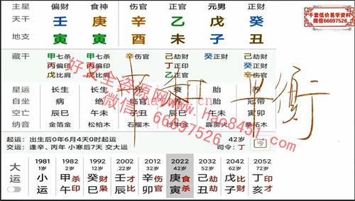 A1287《旺衰和用神的判断》视频11集