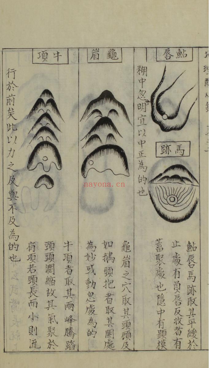 《地理醒心录》(地理醒心录是真的吗)