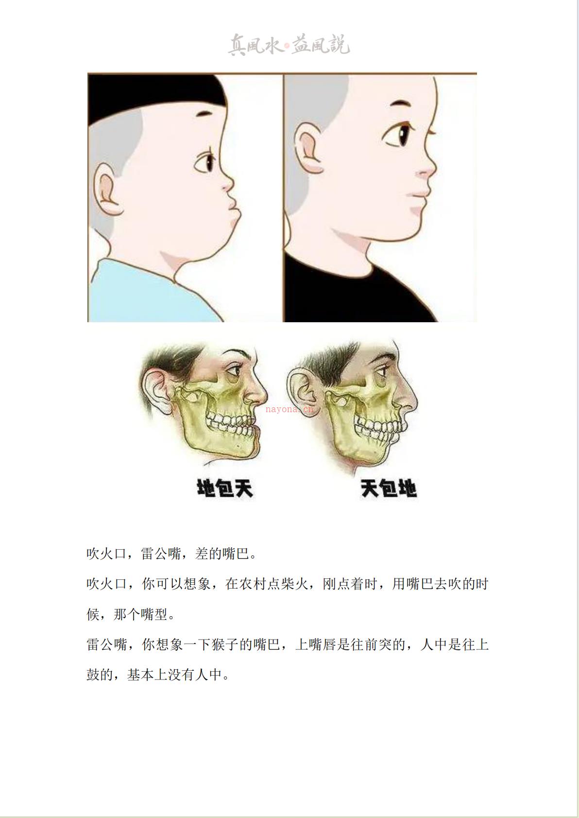 益风面相课音频+课件电子版 高端法本