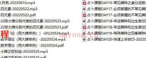 大月亮小六壬课程+八字+奇门+塔罗案例+星盘入门+情感录音