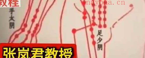 张岚君教授【乘风御水论命运】 网课完整视频4集