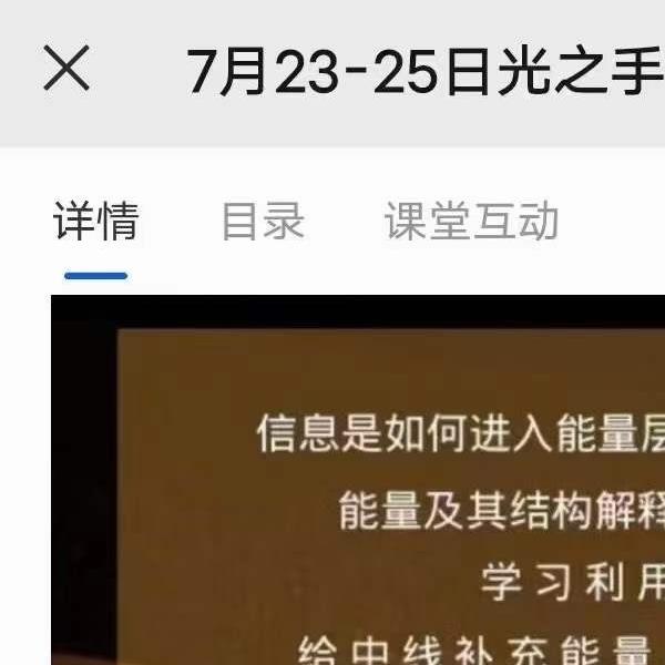 宋伟丽光之手全息远程感知疗愈工作坊(宋伟光雕塑简历)