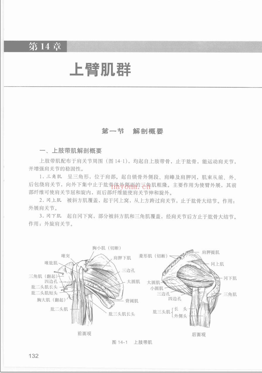 独秀医学库资料（第022部分）