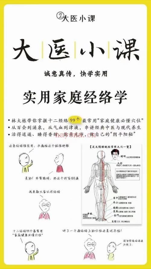 林大栋 实用经络学 27集视频