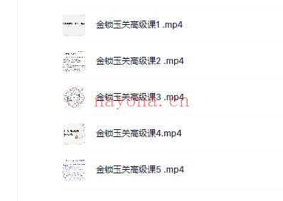 权俞通 金锁玉关高级课 5集视频