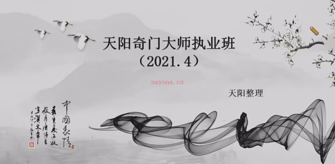 天阳奇门大师执业班20集