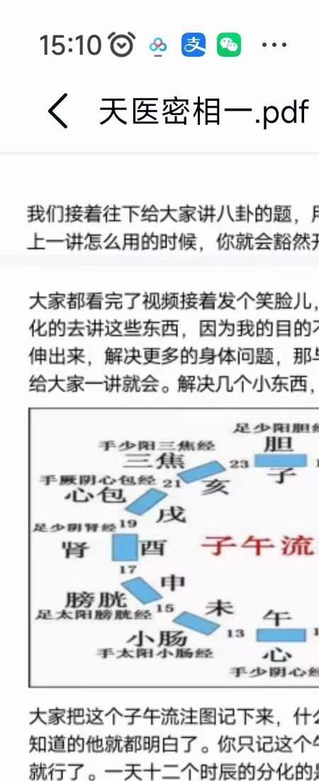 凤麟宗天医密相 敏真师父的告别课 门内独门秘传核心绝技