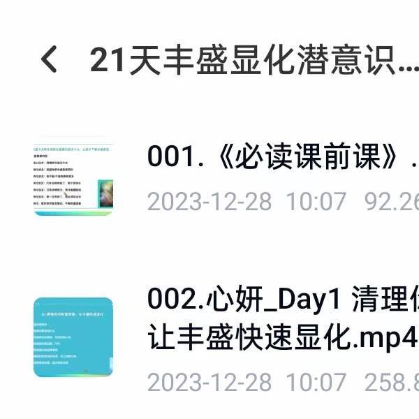 第24期 21天丰盛显化潜意识改写个案营22集