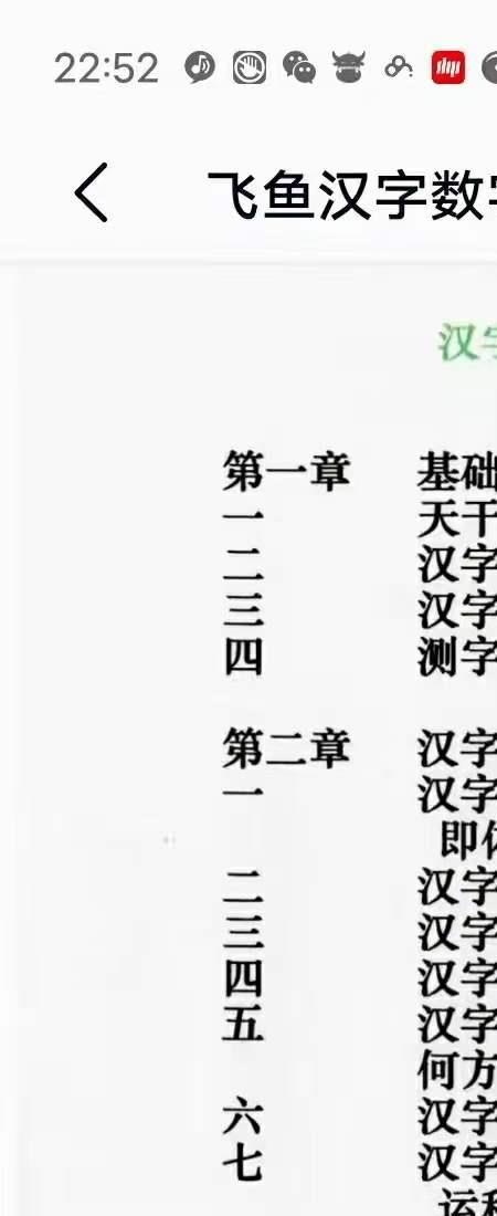 飞鱼汉字数字预测305页.pdf