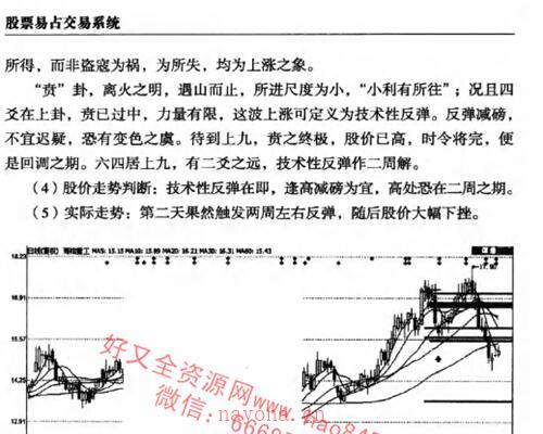 A1316《股票易占交易系统》PDF电子书280页