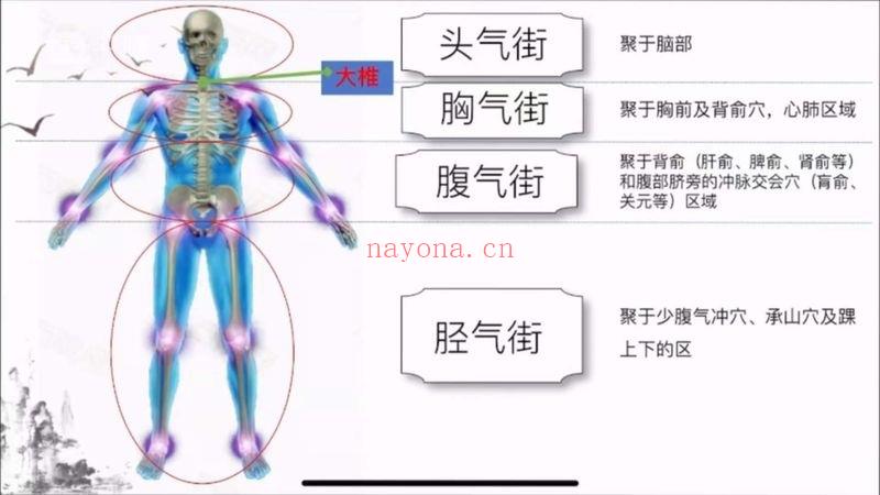 玄莹 归原双穴灸 38课视频