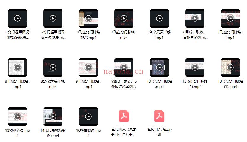 沈奇 飞盘奇门教学 17集视频+文档