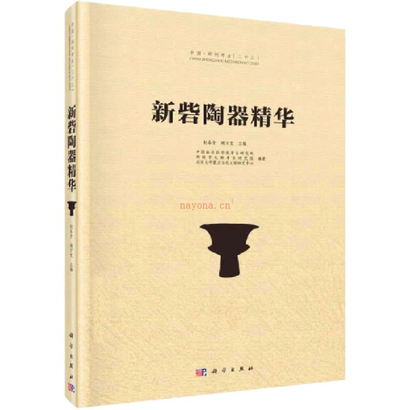 新砦陶器精华 全1册 2016彩图高清 郑州考古