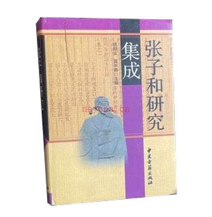 张子和研究集成 全1巨册/中华古代名医名着研究集成 2006