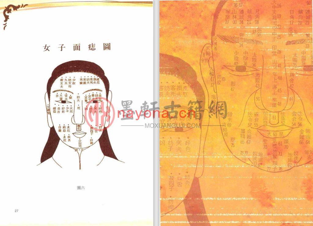 郑穆德-一看就懂大师面相学(210页) PDF下载