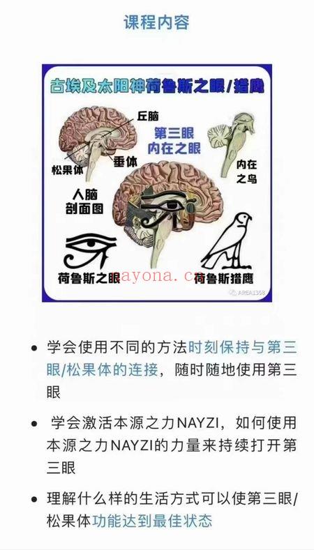 崔西&杰瑞-点亮第三眼学院 14集视频