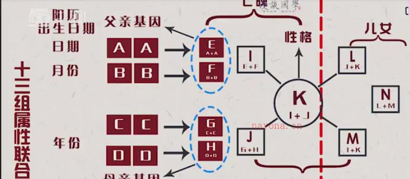 《进阶版》（联合数字密码、职业选择密码、合作伙伴密码、爱情婚姻密码） 网盘