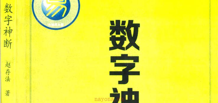 数字神断一心法师赵存法.pdf 网盘