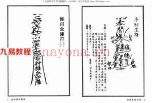 真德大师.英真大师.永靖大师-法师专用符法.pdf 323页 百度网盘下载！