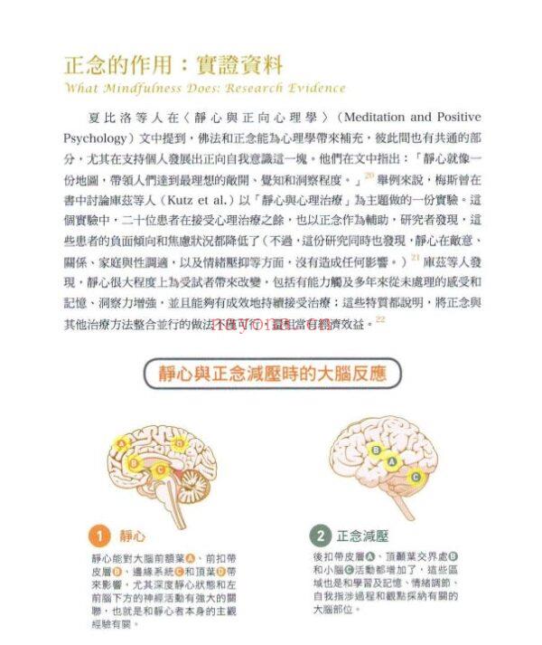 正念芳疗：英国IFA前教育主席教你用精油协助静心冥想，全身放松，一夜好眠！（彩色版）|PDF