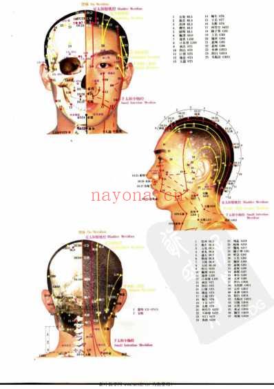 名医评析单穴治病大全_解秸萍.pdf