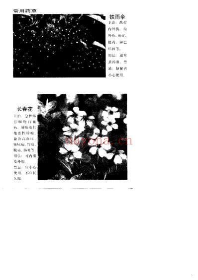 百病医治奇效良方_上.pdf