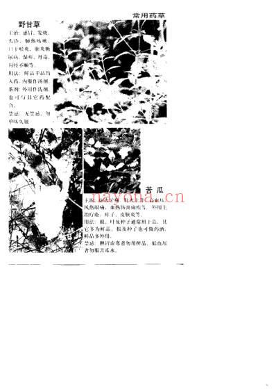 百病医治奇效良方_上.pdf