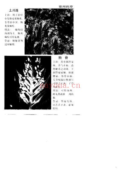 百病医治奇效良方_上.pdf