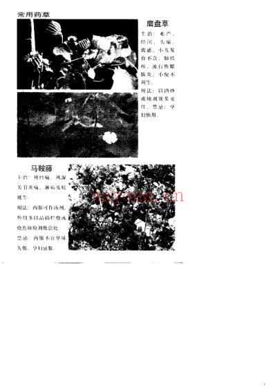 百病医治奇效良方_上.pdf