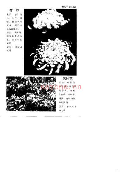 百病医治奇效良方_上.pdf